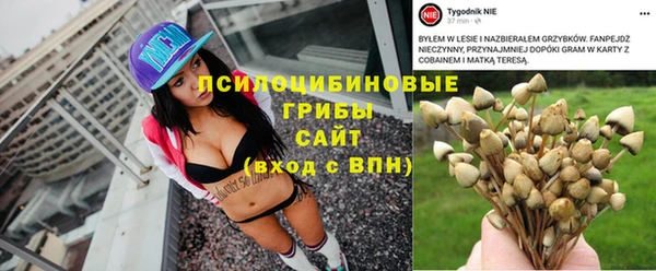 твердый Абинск