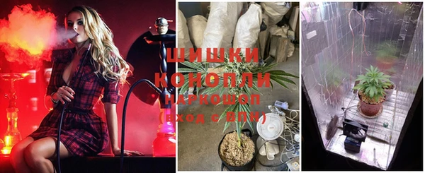 трава Абаза