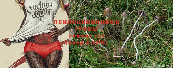 первитин Абдулино