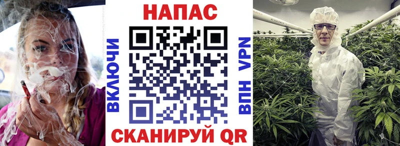 купить закладку Монино Каннабис OG Kush