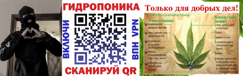 Бошки марихуана Amnesia Монино